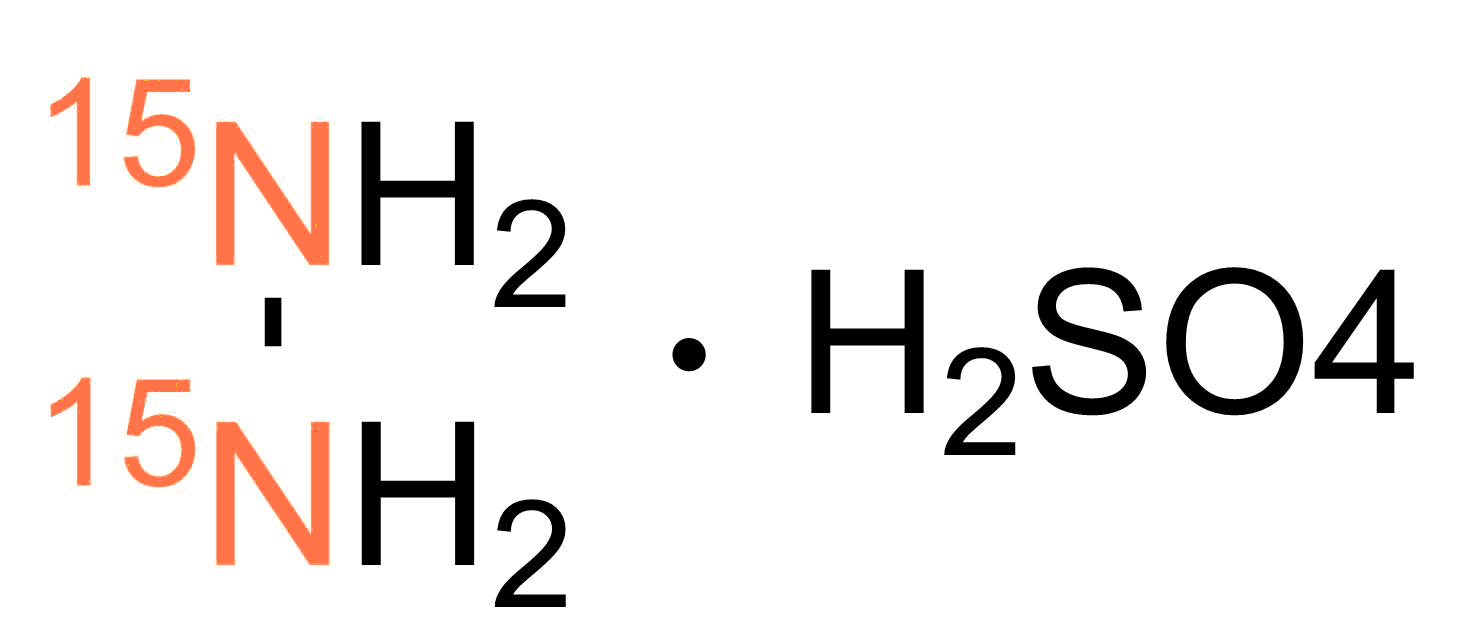 HIB-081